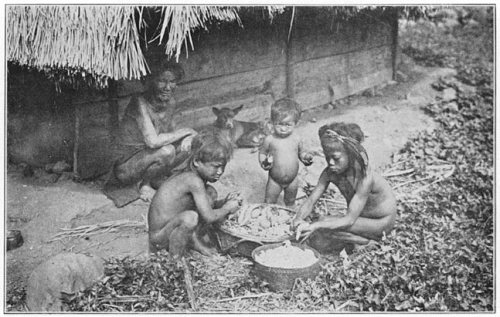 Igorrote Children Preparing Sweet Potatoes